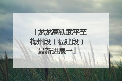 龙龙高铁武平至梅州段（福建段）最新进展→
