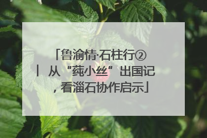 鲁渝情·石柱行② ︳从“莼小丝”出国记，看淄石协作启示