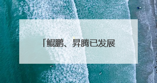 鲲鹏、昇腾已发展超665万开发者，今年将进一步开放