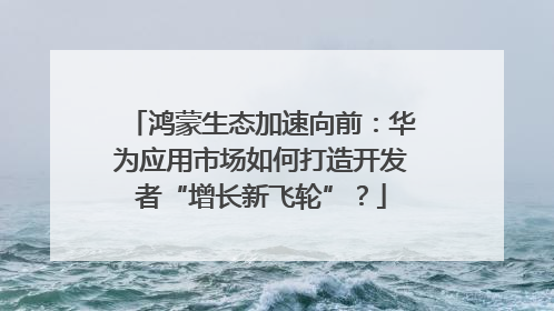 鸿蒙生态加速向前：华为应用市场如何打造开发者“增长新飞轮”？
