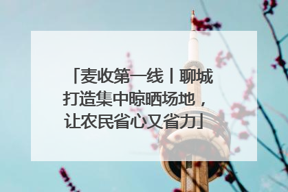 麦收第一线丨聊城打造集中晾晒场地，让农民省心又省力