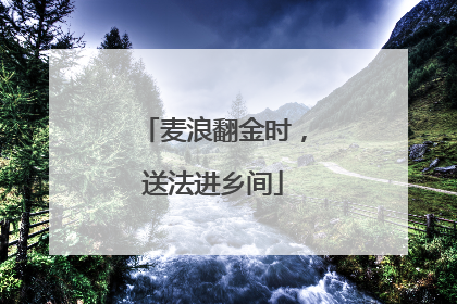 麦浪翻金时，送法进乡间