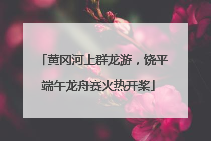 黄冈河上群龙游，饶平端午龙舟赛火热开桨