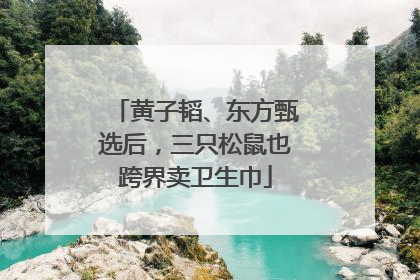 黄子韬、东方甄选后，三只松鼠也跨界卖卫生巾
