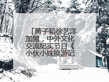 黄子韬徐艺洋加盟，中外文化交流纪实节目《小伙小妹换游记》六月上线