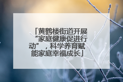 黄鹤楼街道开展“家庭健康促进行动”，科学养育赋能家庭幸福成长