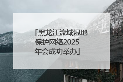 黑龙江流域湿地保护网络2025年会成功举办