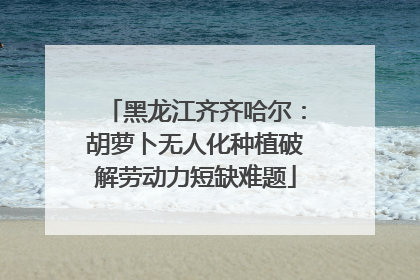 黑龙江齐齐哈尔：胡萝卜无人化种植破解劳动力短缺难题