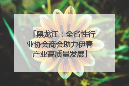 黑龙江：全省性行业协会商会助力伊春产业高质量发展