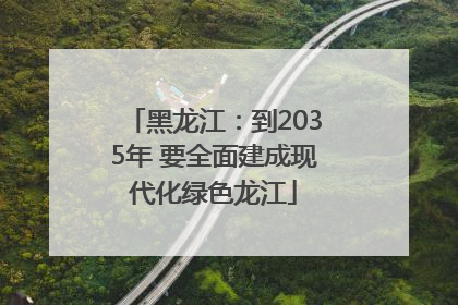 黑龙江：到2035年 要全面建成现代化绿色龙江