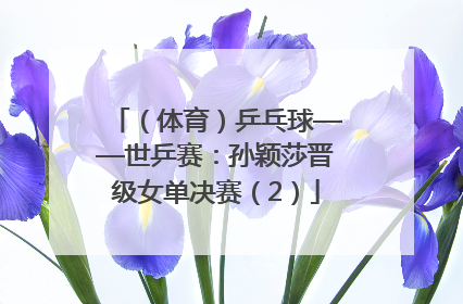 （体育）乒乓球——世乒赛：孙颖莎晋级女单决赛（2）