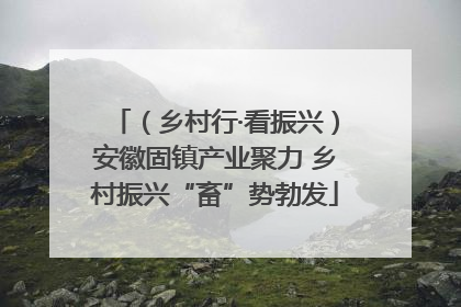 （乡村行·看振兴）安徽固镇产业聚力 乡村振兴“畜”势勃发
