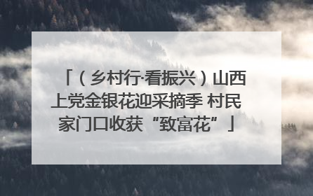 （乡村行·看振兴）山西上党金银花迎采摘季 村民家门口收获“致富花”
