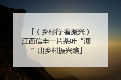 （乡村行·看振兴）江西信丰一片茶叶“沏”出乡村振兴路