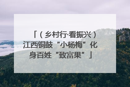 （乡村行·看振兴）江西铜鼓“小杨梅”化身百姓“致富果”