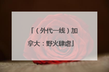 （外代一线）加拿大：野火肆虐