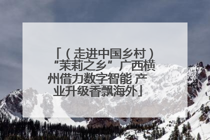 （走进中国乡村）“茉莉之乡”广西横州借力数字智能 产业升级香飘海外