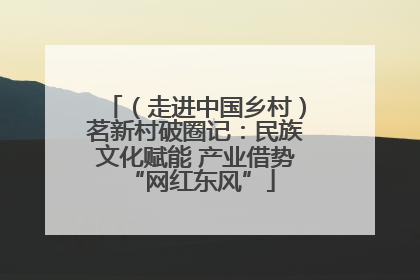 （走进中国乡村）茗新村破圈记：民族文化赋能 产业借势 “网红东风”