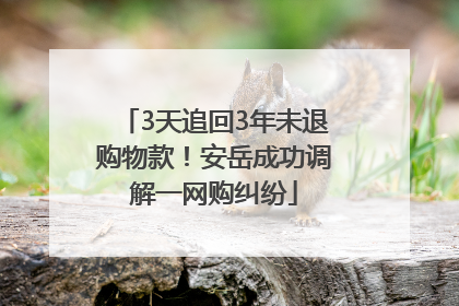 3天追回3年未退购物款！安岳成功调解一网购纠纷