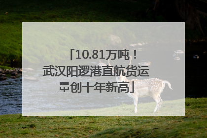 10.81万吨！武汉阳逻港直航货运量创十年新高