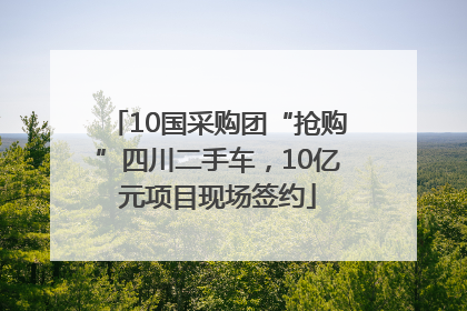 10国采购团“抢购”四川二手车，10亿元项目现场签约