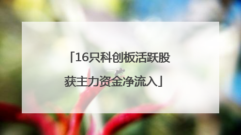 16只科创板活跃股获主力资金净流入