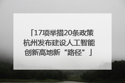 17项举措20条政策 杭州发布建设人工智能创新高地新“路径”
