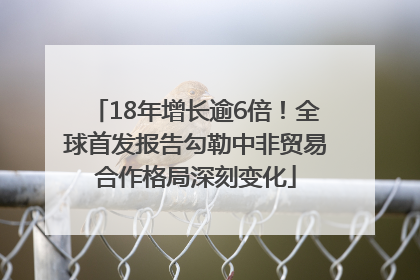 18年增长逾6倍！全球首发报告勾勒中非贸易合作格局深刻变化