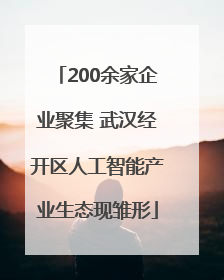 200余家企业聚集 武汉经开区人工智能产业生态现雏形