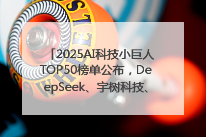 2025AI科技小巨人TOP50榜单公布，DeepSeek、宇树科技、蘑菇车联等企业荣誉上榜