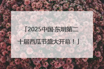 2025中国·东明第二十届西瓜节盛大开幕！