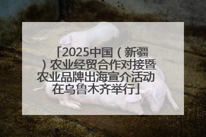 2025中国（新疆）农业经贸合作对接暨农业品牌出海宣介活动在乌鲁木齐举行
