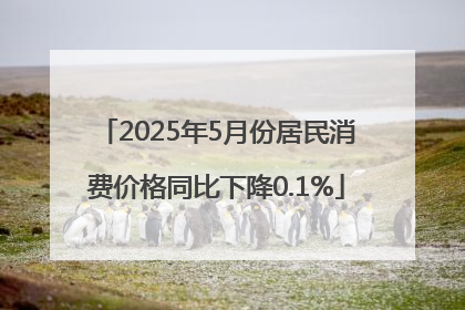 2025年5月份居民消费价格同比下降0.1%