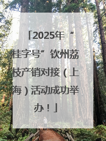 2025年“桂字号”钦州荔枝产销对接（上海）活动成功举办！
