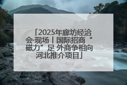 2025年廊坊经洽会·现场丨国际招商“磁力”足 外商争相向河北推介项目