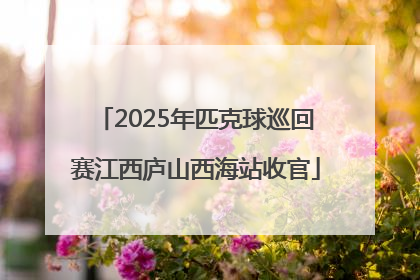 2025年匹克球巡回赛江西庐山西海站收官
