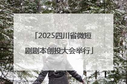 2025四川省微短剧剧本创投大会举行
