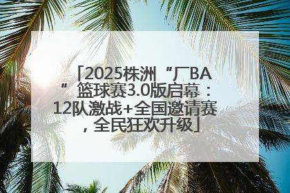 2025株洲“厂BA”篮球赛3.0版启幕：12队激战+全国邀请赛，全民狂欢升级