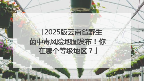 2025版云南省野生菌中毒风险地图发布！你在哪个等级地区？