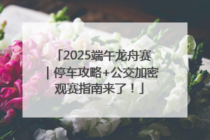 2025端午龙舟赛｜停车攻略+公交加密 观赛指南来了！