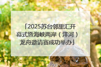 2025苏台邻里汇开幕式暨海峡两岸（洋河）龙舟邀请赛成功举办