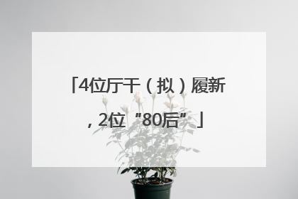 4位厅干（拟）履新，2位“80后”