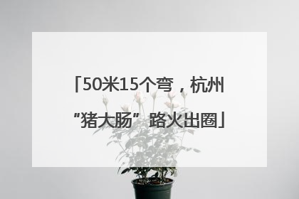 50米15个弯，杭州“猪大肠”路火出圈