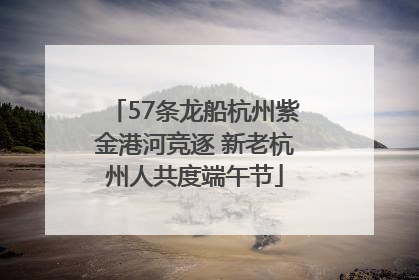 57条龙船杭州紫金港河竞逐 新老杭州人共度端午节