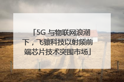 5G 与物联网浪潮下，飞骧科技以射频前端芯片技术突围市场