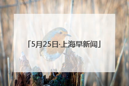 5月25日·上海早新闻