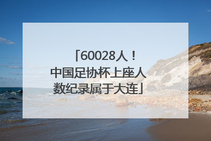 60028人！中国足协杯上座人数纪录属于大连