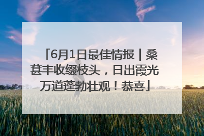 6月1日最佳情报｜桑葚丰收缀枝头，日出霞光万道蓬勃壮观！恭喜