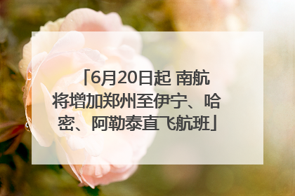 6月20日起 南航将增加郑州至伊宁、哈密、阿勒泰直飞航班