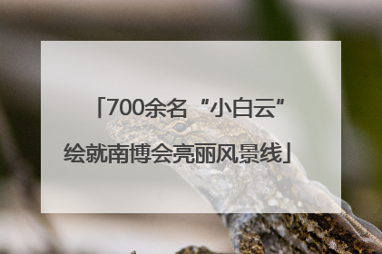 700余名“小白云”绘就南博会亮丽风景线